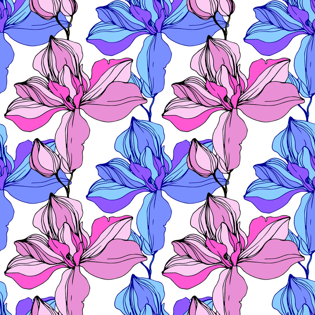 Vector Pink e orquídeas azuis. Flores silvestres isoladas em branco. Arte de tinta gravada. Padrão de fundo sem costura. Papel de parede textura de impressão
. - Vetor, Imagem