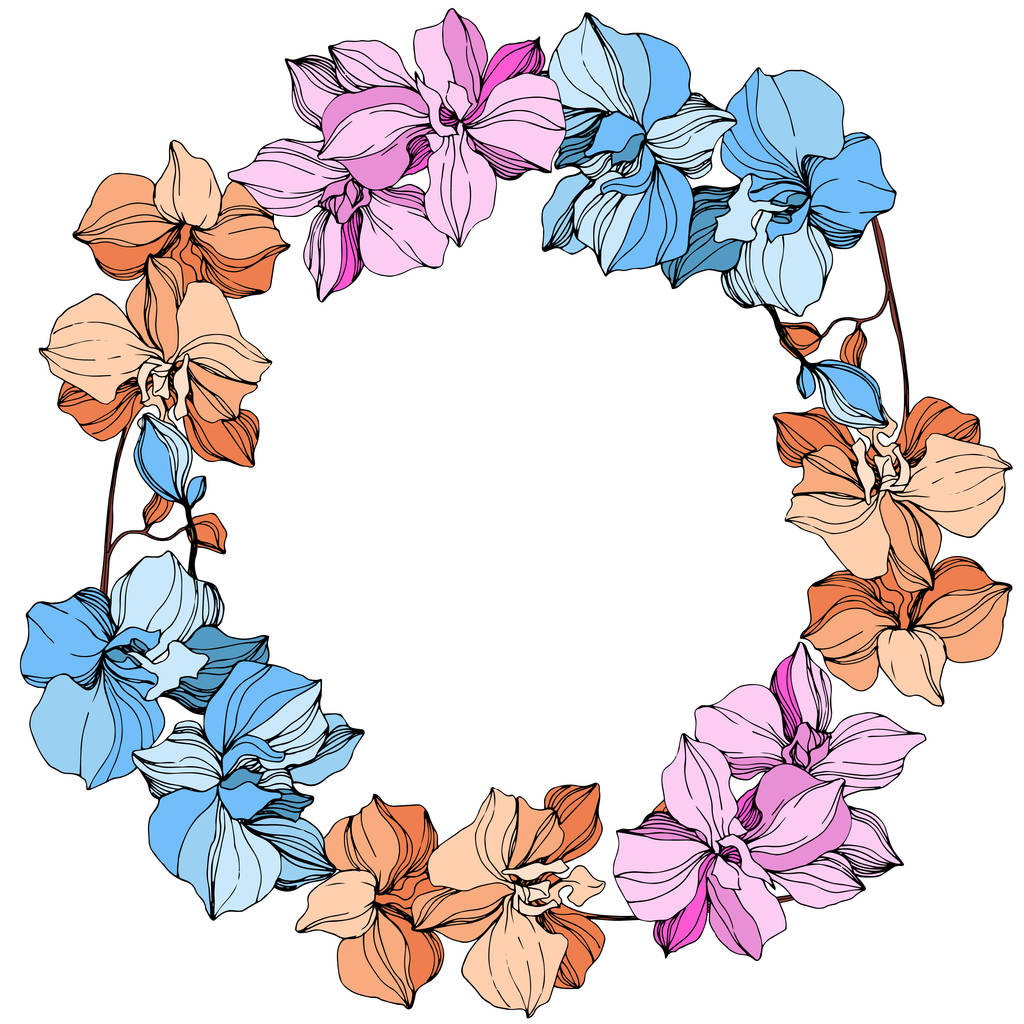 Vector orquídeas rosadas, anaranjadas y azules. Flores silvestres aisladas en blanco. Arte de tinta grabada. Frontera marco floral
  - Vector, Imagen