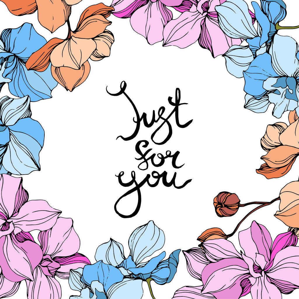 Vektorrosa, orange und blaue Orchideen. Wildblumen isoliert auf weiß. Tuschebilder. Blumenrahmen mit Schriftzug "just for you" - Vektor, Bild