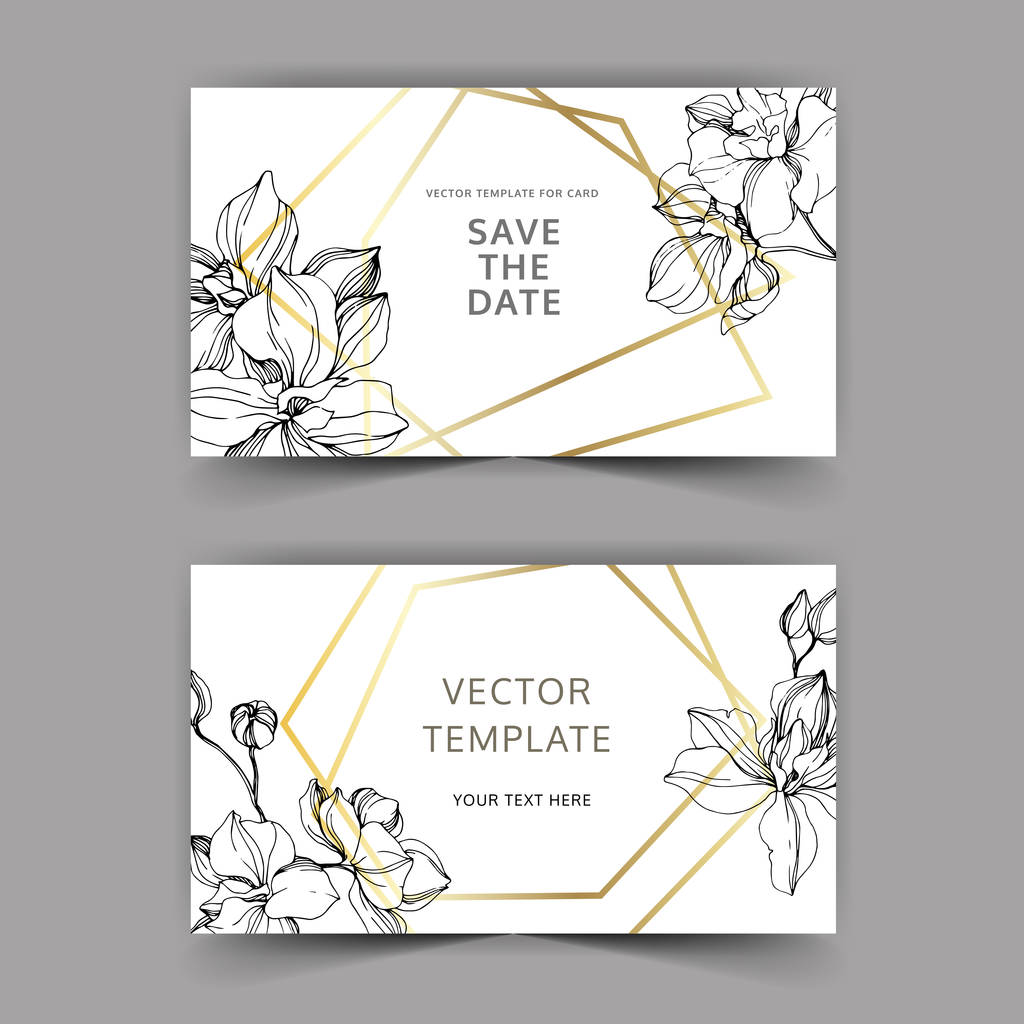 Vektor Orchideen. Tuschebilder. Hochzeitshintergrundkarten mit dekorativen Blumen. Einladungskarten grafisches Set Banner. - Vektor, Bild