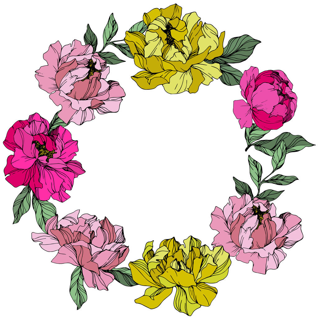 Vector Peonías rosadas y amarillas. Flores silvestres aisladas en blanco. Arte de tinta grabada. Frontera marco floral
  - Vector, imagen