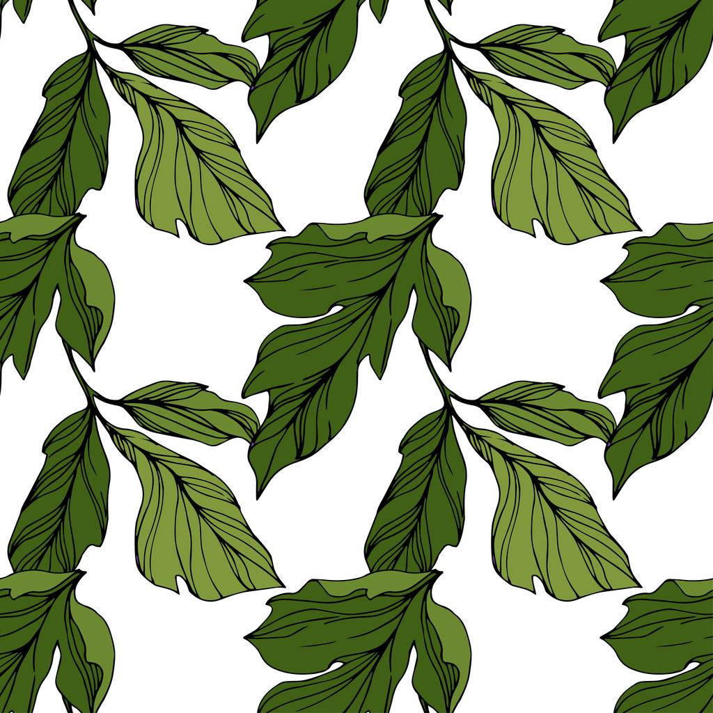Vector Green leaves isolated on white. Engraved ink art. Seamless background pattern. Wallpaper print texture. - Vector, Image