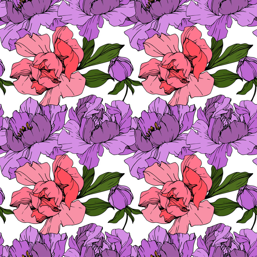 Vector Pink and purple peonies. Wildflowers isolated on white. Engraved ink art. Seamless background pattern. Wallpaper print texture. - Vector, Image