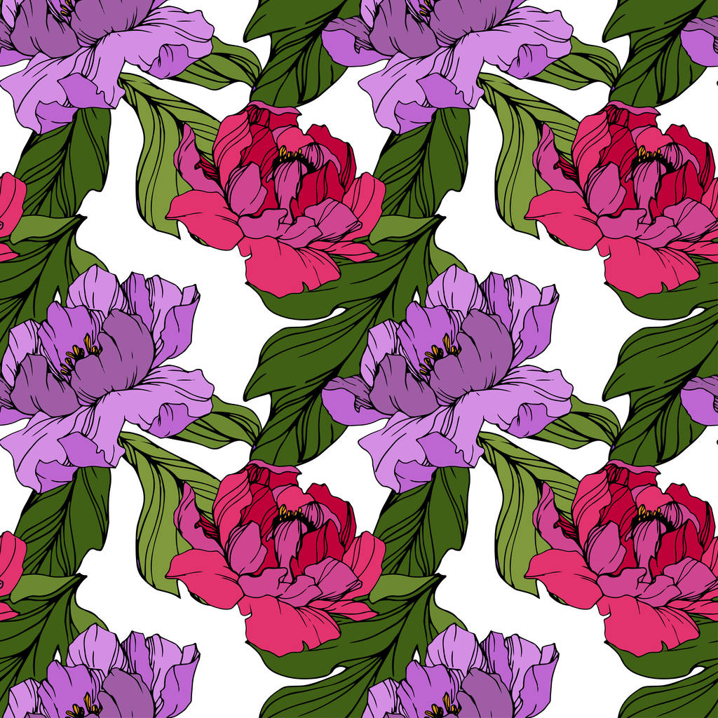 Vector Peonías rosa y púrpura. Flores silvestres aisladas en blanco. Arte de tinta grabada. Patrón de fondo sin costuras. Fondo de pantalla imprimir textura
. - Vector, Imagen
