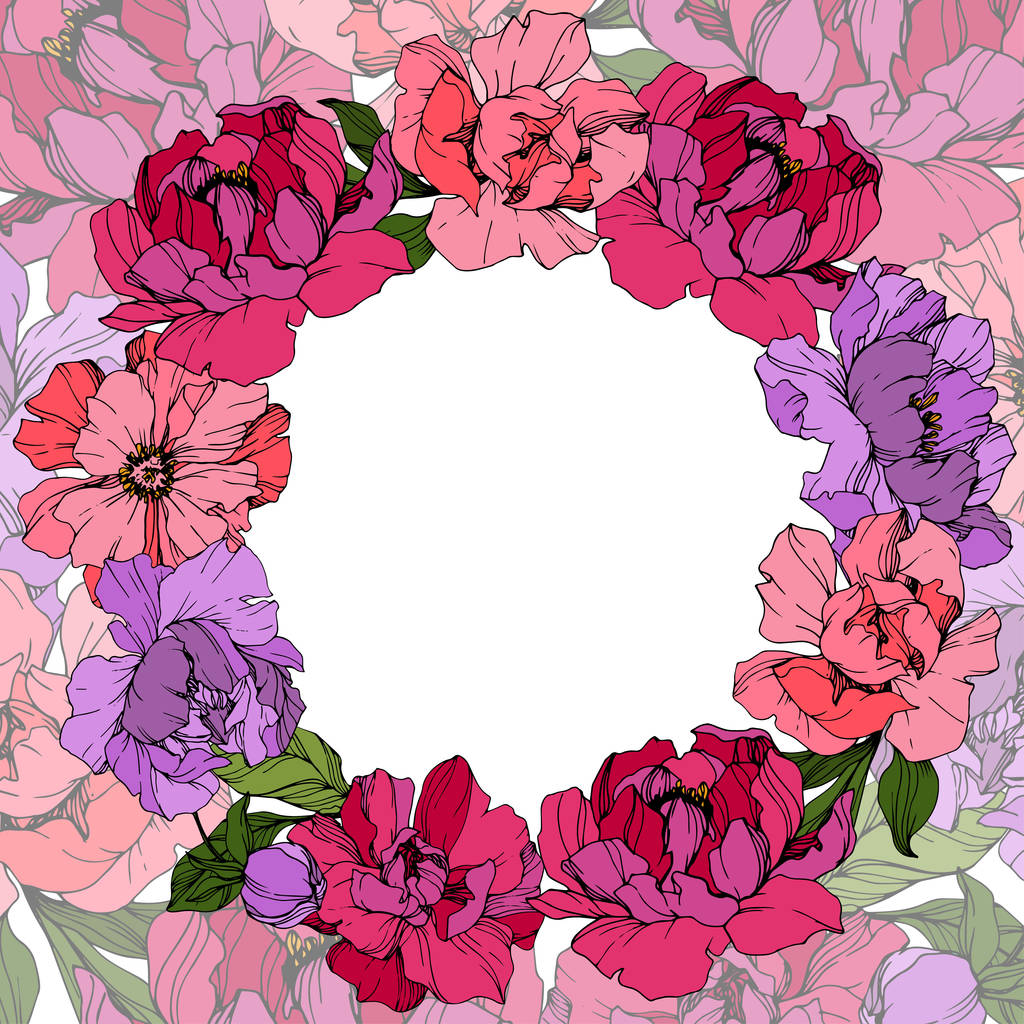 Vector Peonías rosa y púrpura. Flores silvestres aisladas en blanco. Arte de tinta grabada. Frontera marco floral
  - Vector, imagen