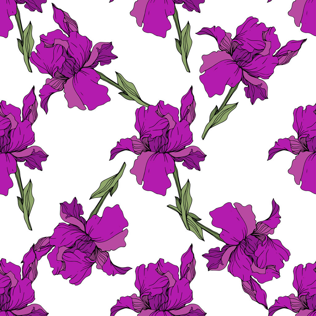 Vector paarse irissen. Wilde bloemen op wit wordt geïsoleerd. Gegraveerde inkt art. Naadloze achtergrondpatroon. Behang print textuur. - Vector, afbeelding