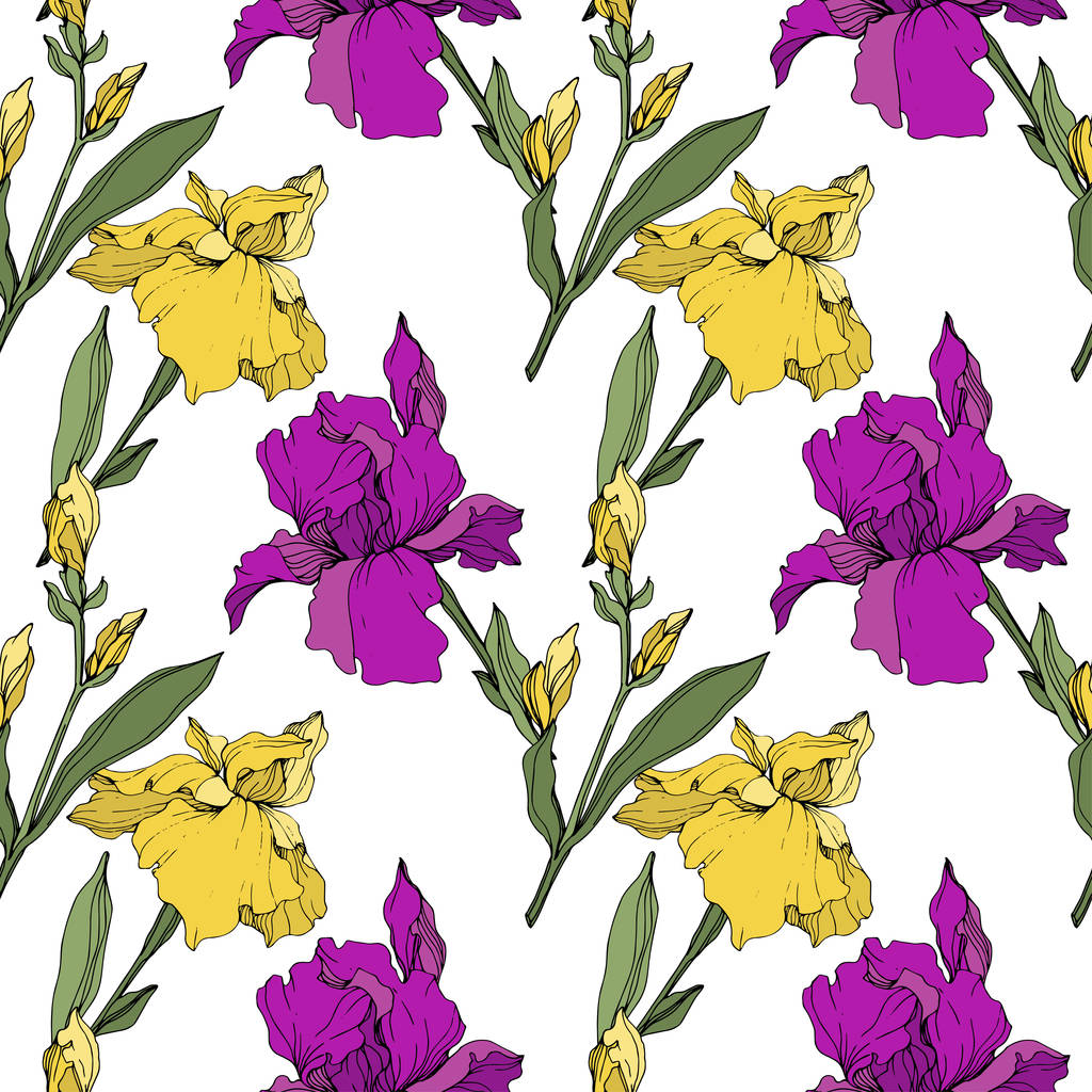 ベクトルの紫と黄色のアイリス。野生の花が白で隔離。刻まれたインク アート。シームレスな背景パターン。プリントのテクスチャーを壁紙します。. - ベクター画像
