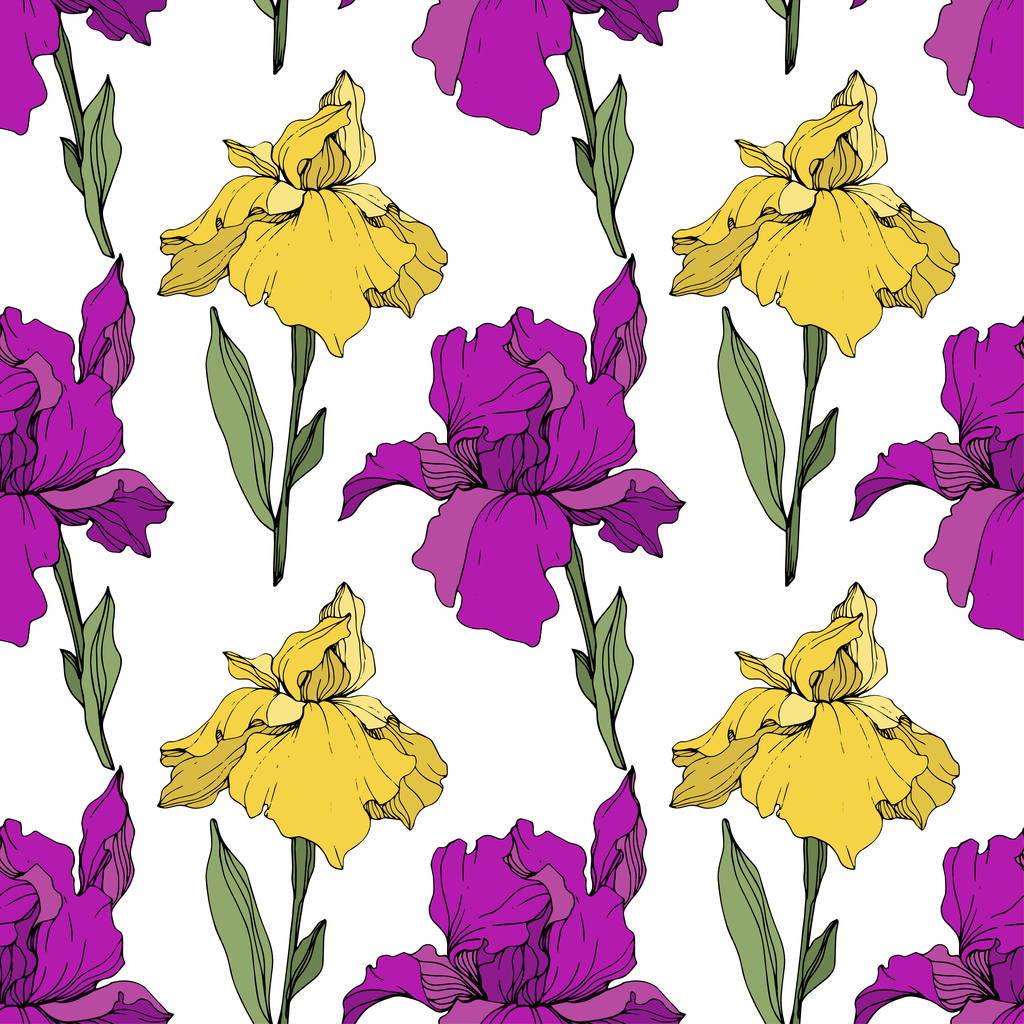 ベクトルの紫と黄色のアイリス。野生の花が白で隔離。刻まれたインク アート。シームレスな背景パターン。プリントのテクスチャーを壁紙します。. - ベクター画像