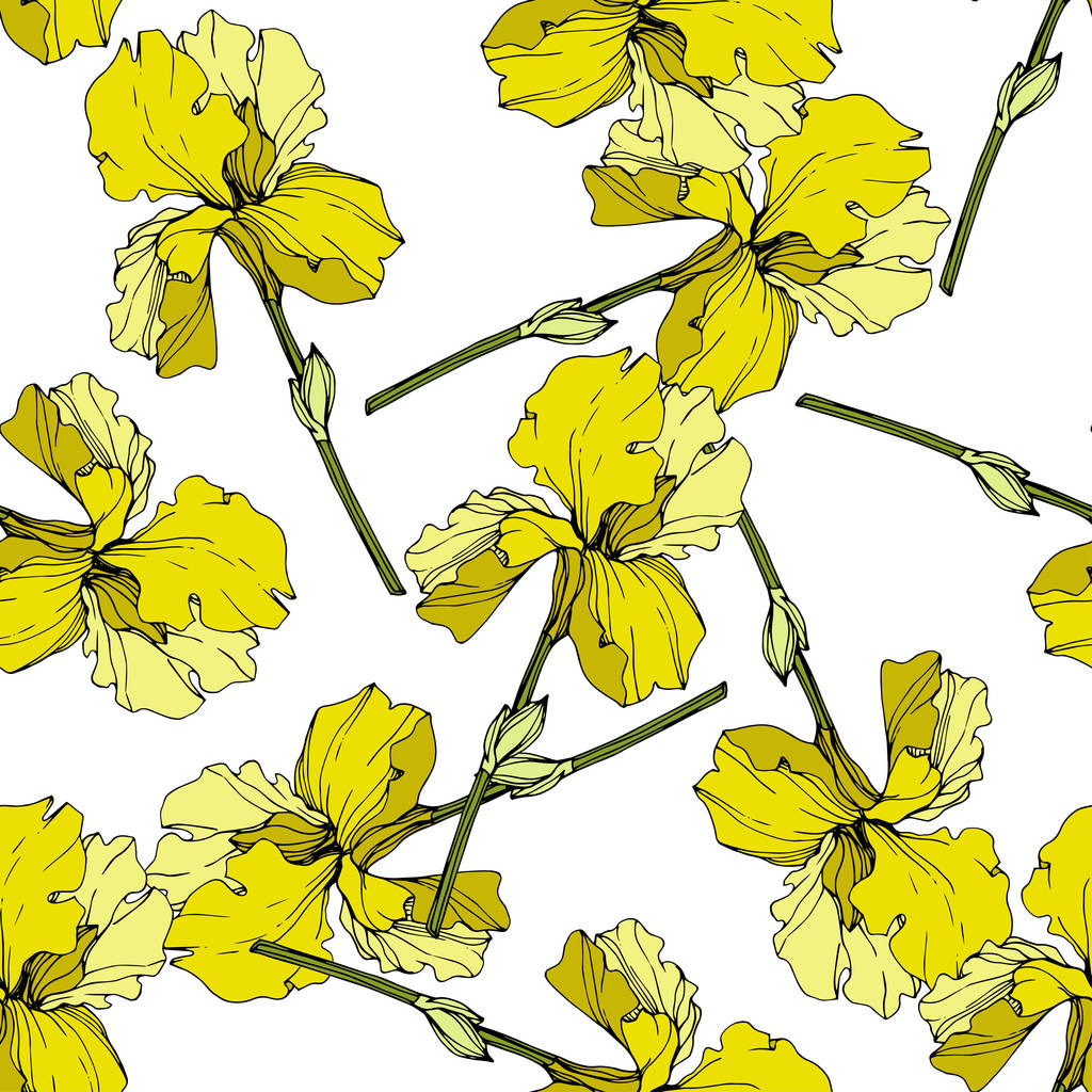 Vector yellow Irises. Colorful wildflowers isolated on white. Engraved ink art. Seamless background pattern. Wallpaper print texture. - Vector, Image