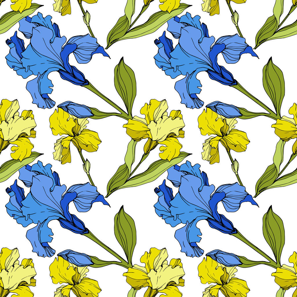 Vektor gelbe und blaue Schwertlilien. bunte Wildblumen isoliert auf weiß. Tuschebilder. nahtlose Hintergrundmuster. Tapete drucken Textur. - Vektor, Bild