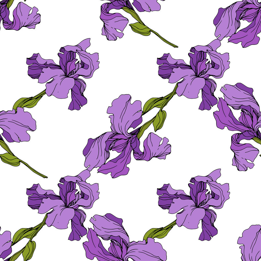 Vector purple Irises. Colorful wildflowers isolated on white. Engraved ink art. Seamless background pattern. Wallpaper print texture. - Vector, Image