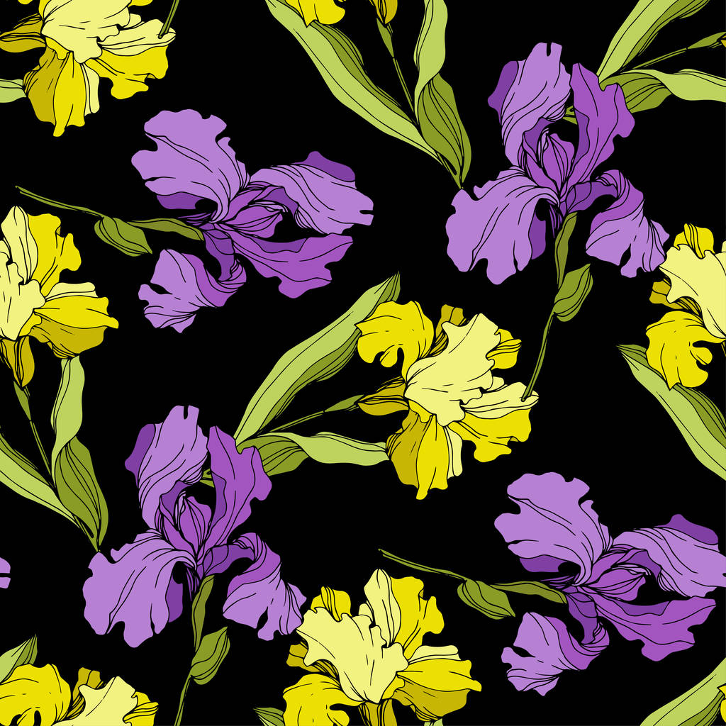 Vektor violette und gelbe Schwertlilien isoliert auf schwarz. bunte Wildblumen. Tuschebilder. nahtlose Hintergrundmuster. Tapete drucken Textur - Vektor, Bild