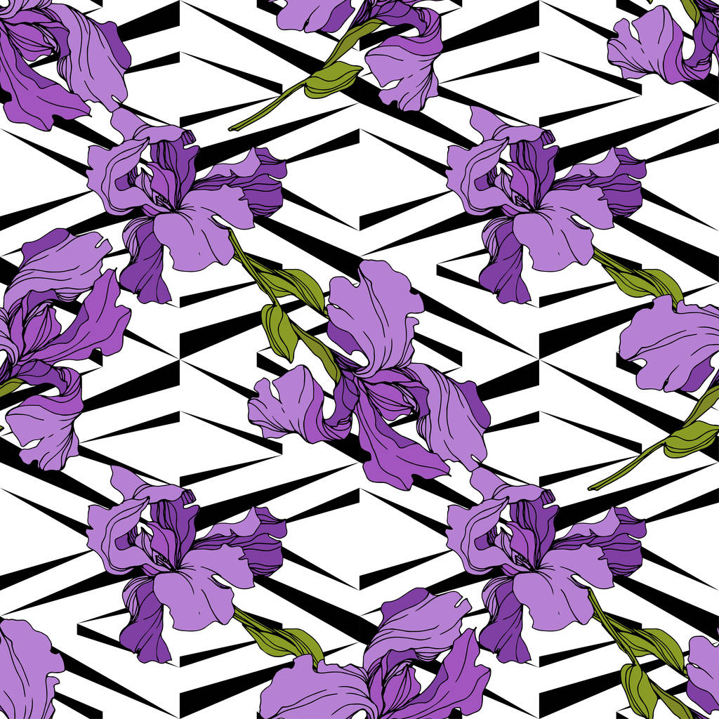 Векторні фіолетові іриси на декоративному фоні. Барвисті дикі квіти. Вигравіруване чорнило. Безшовний візерунок тла. Текстура друку шпалер
 - Вектор, зображення