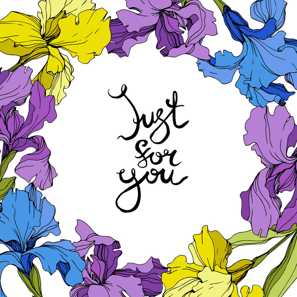 Vektorlila, gelbe und blaue Schwertlilien. bunte Wildblumen isoliert auf weiß. Tuschebilder. Rahmenrand mit Schriftzug "just for you" - Vektor, Bild