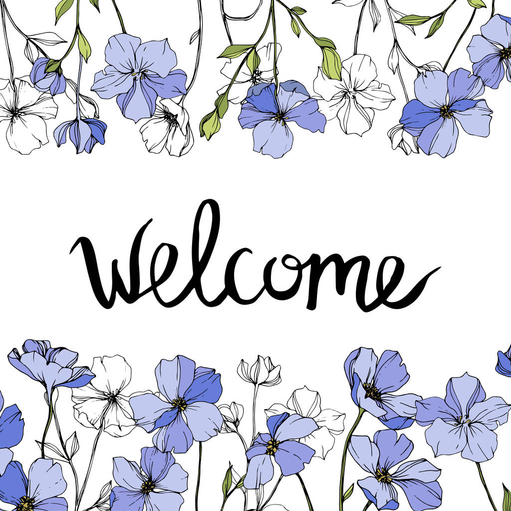 Vektor blauer Flachs. Wildblumen isoliert auf weiß. Tuschebilder. Blumenrahmen mit "Willkommen" -Schriftzug  - Vektor, Bild