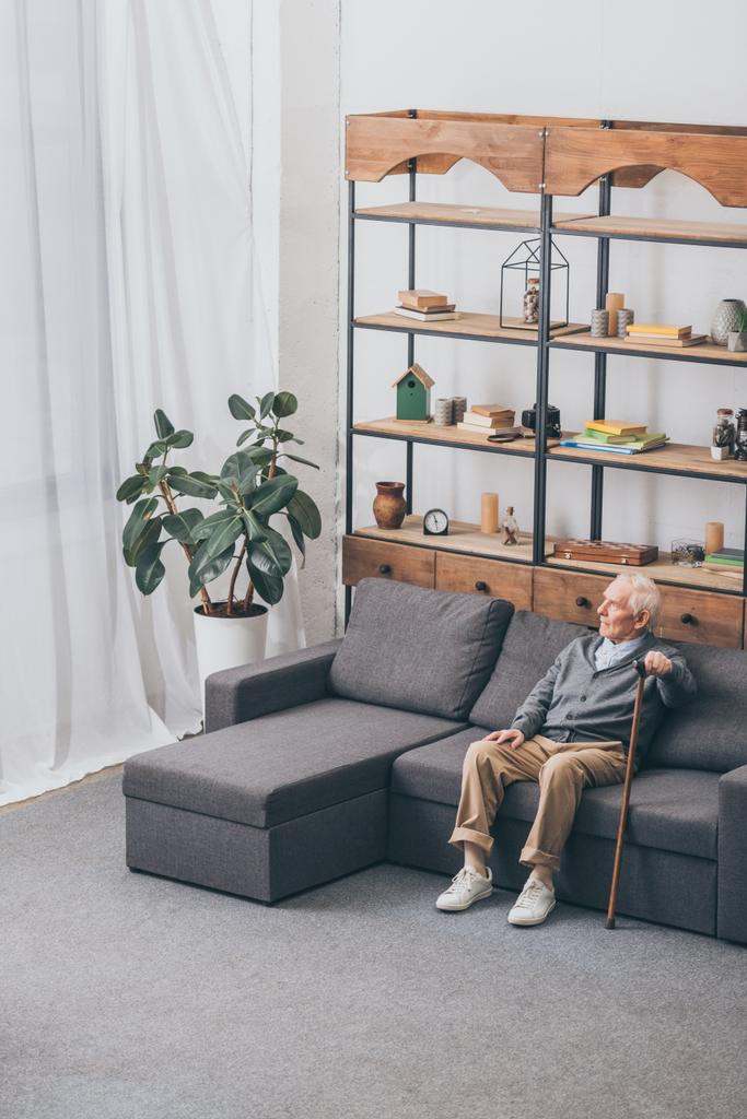 пенсионер с седыми волосами, держащий трость, сидя на диване
  - Фото, изображение