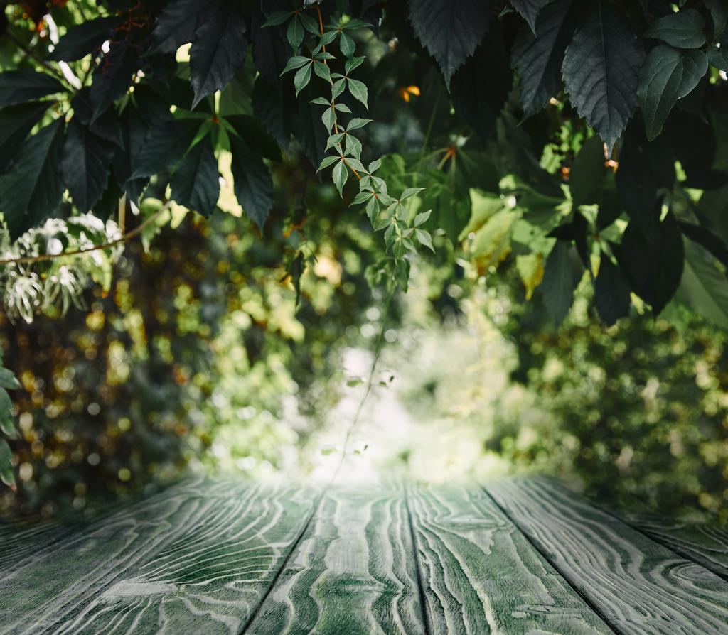 fondo de madera rayado sobre hermosas hojas verdes fondo de pantalla
 - Foto, imagen