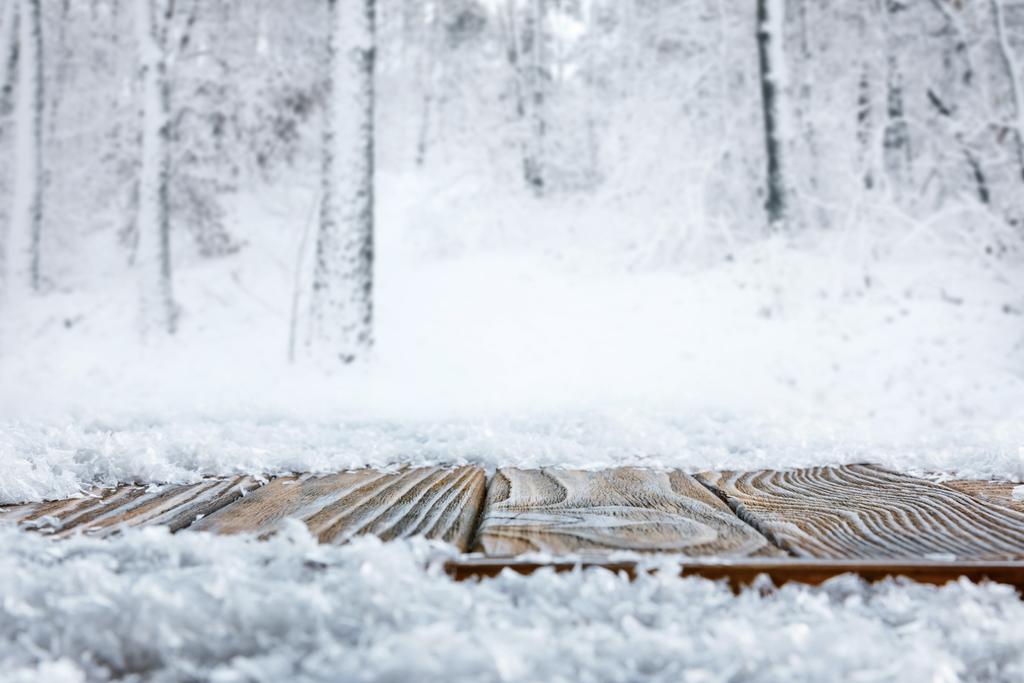 oppervlakteniveau van gestreepte bruine houten pad en mooie winter forest - Foto, afbeelding