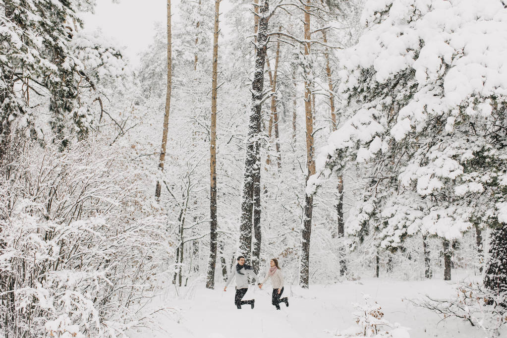Verliebte Paare spazieren im verschneiten Wald, umarmen, küssen und genießen. - Foto, Bild