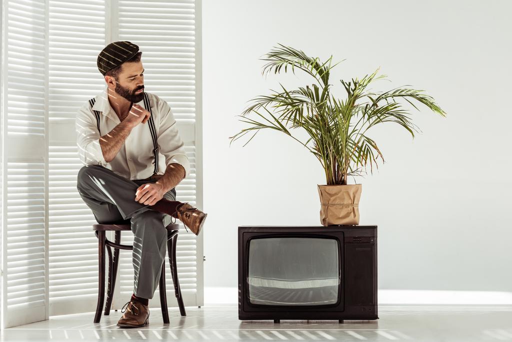 knappe bebaarde man zittend op een stoel in de buurt van room divider en retro tv en kijken naar plant in pot  - Foto, afbeelding