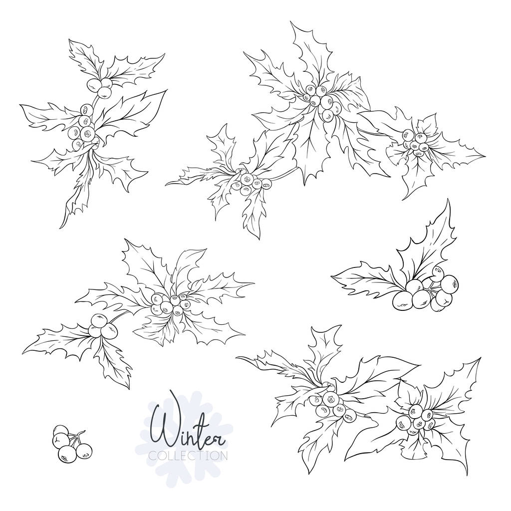 Set with branches of holly.  Outline hand drawing vector illustration. Isolated on white background - Vector, Image