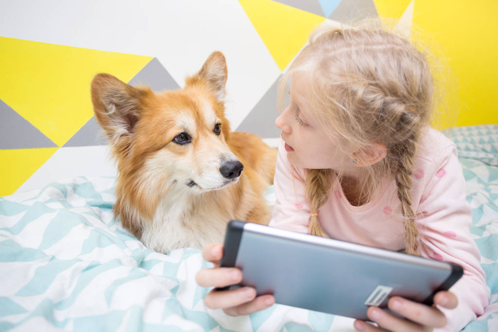divertente ragazza e cane corgi sul letto nel gioco vivaio sul tablet. scuola casalinga
 - Foto, immagini