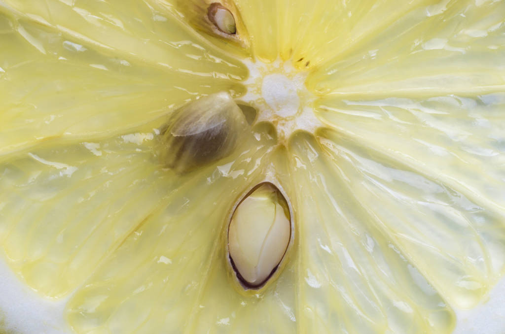κοντινό πλάνο λεμόνι σπόροι ως φόντο - Φωτογραφία, εικόνα