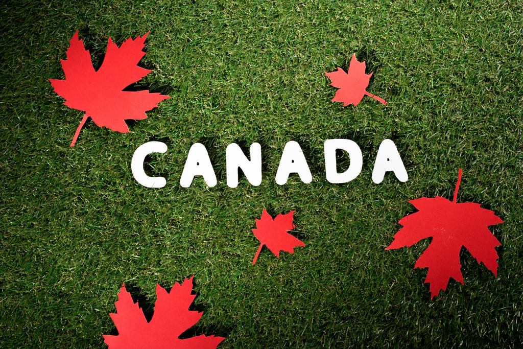 vista superior da palavra 'Canadá' com folhas de bordo no fundo grama verde
 - Foto, Imagem