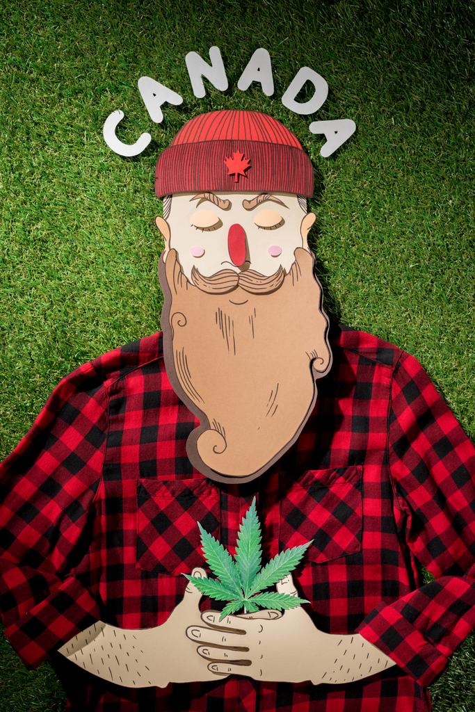 kartonnen man in geruite hemd vasthouden cannabis met het woord 'Canada' groen gras achtergrond, marihuana legalisatie concept - Foto, afbeelding