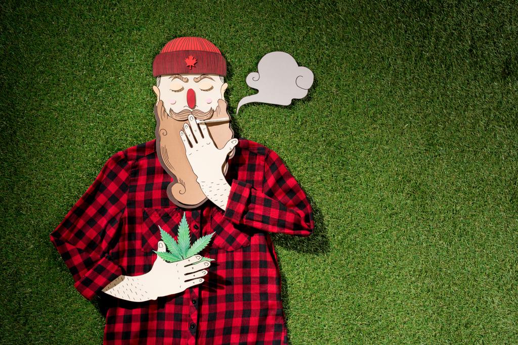 格子縞のシャツ大麻を押し 緑の草の背景 マリファナ合法化コンセプトに喫煙のダン ボール男 ロイヤリティフリー写真 画像素材