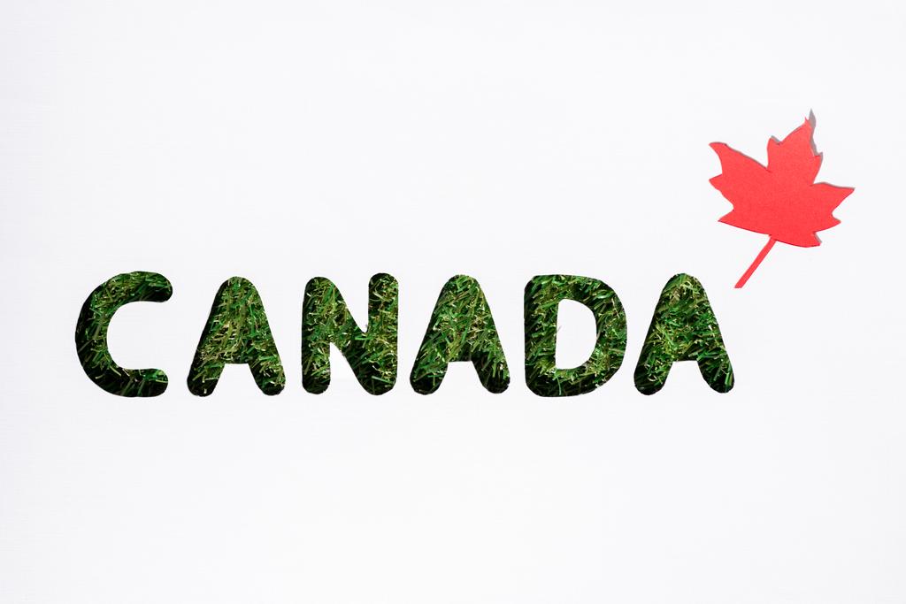 доска с вырезанным словом "Канада" с кленовым листом на белом фоне
 - Фото, изображение