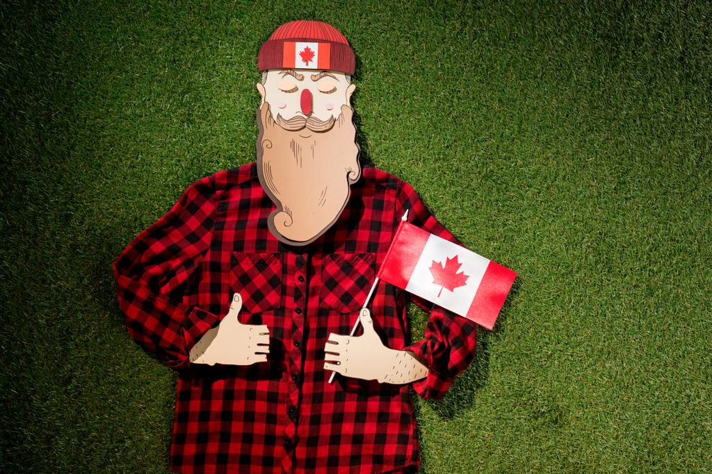 lepenkové muž v kostkované košili holding kanadské vlajky a objevovat palce podepisuje na zelené trávě pozadí - Fotografie, Obrázek