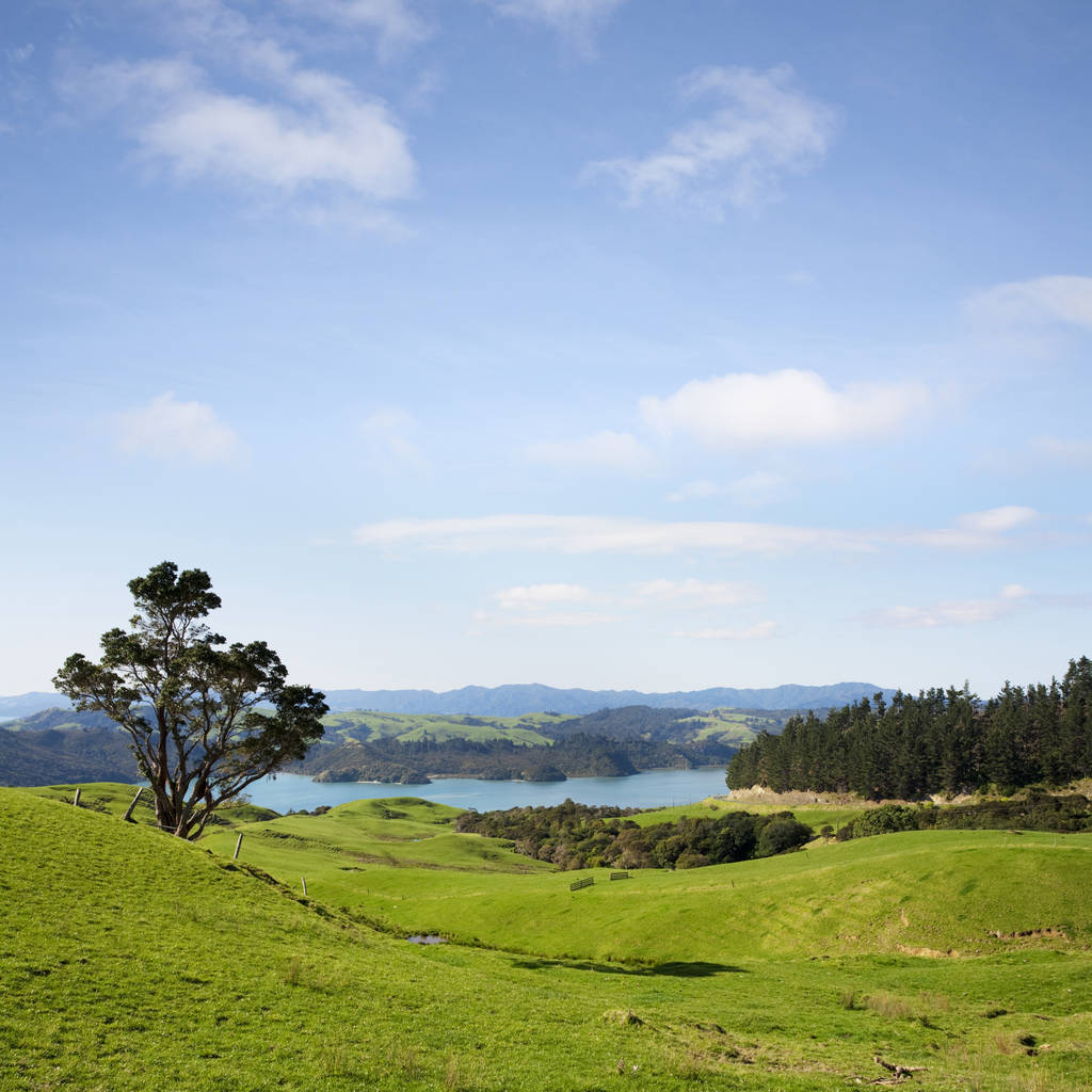 Península de Coromandel Nova Zelândia
 - Foto, Imagem