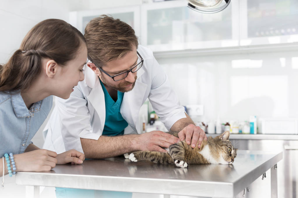 Médico examinando gato na mesa por menina na clínica veterinária
 - Foto, Imagem