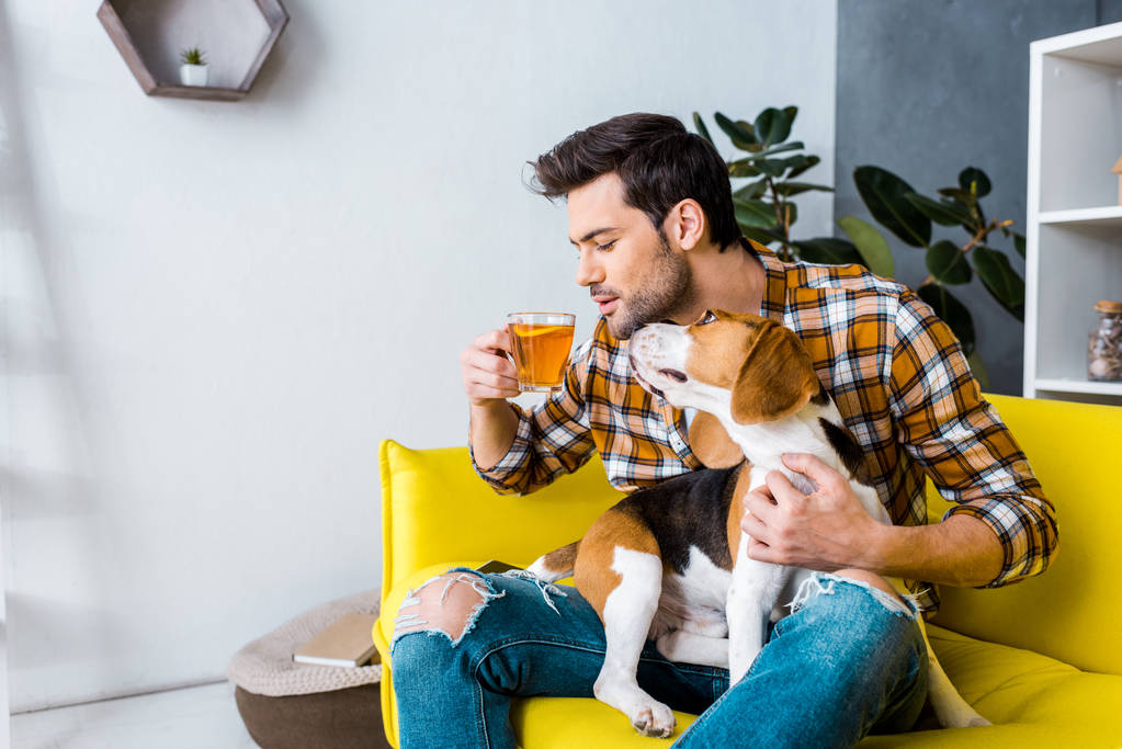 περιστασιακή άνθρωπος πίνοντας τσάι και κάθεται στον καναπέ με χαριτωμένο σκυλί  - Φωτογραφία, εικόνα