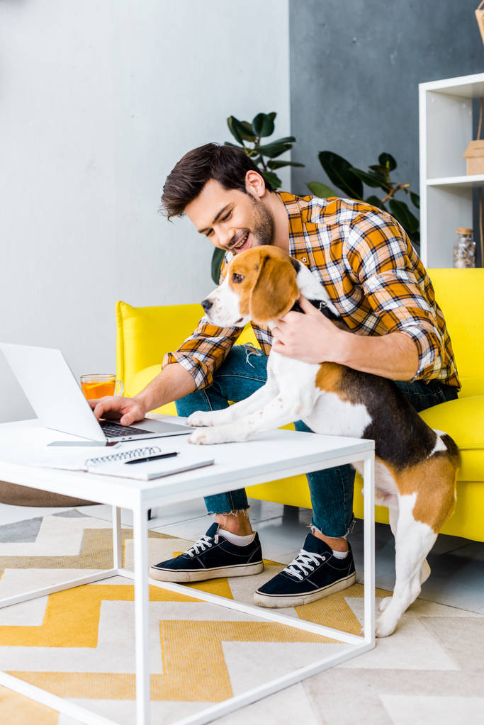 Gelukkig freelancer werkt op laptop in de woonkamer met beagle hond  - Foto, afbeelding