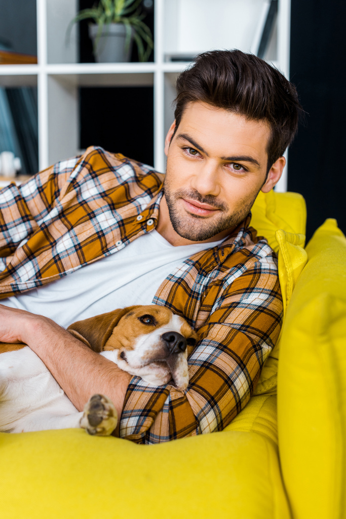 handsome smiling man relaxing on sofa with beagle dog  - Photo, Image