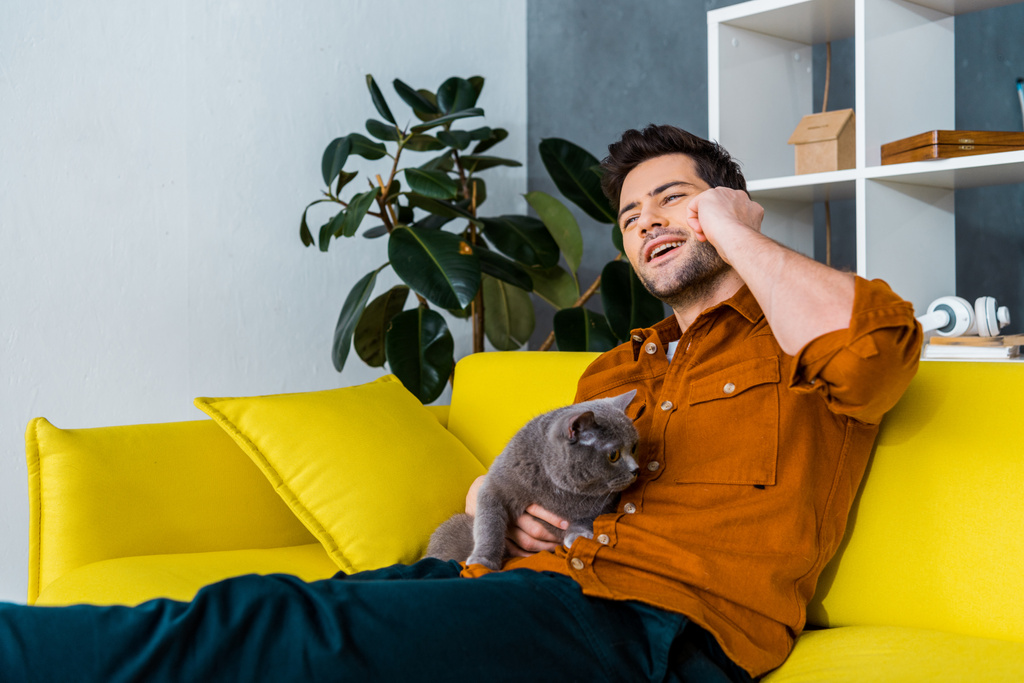 iloinen mies puhuu älypuhelimella sohvalla harmaalla kissalla
 - Valokuva, kuva