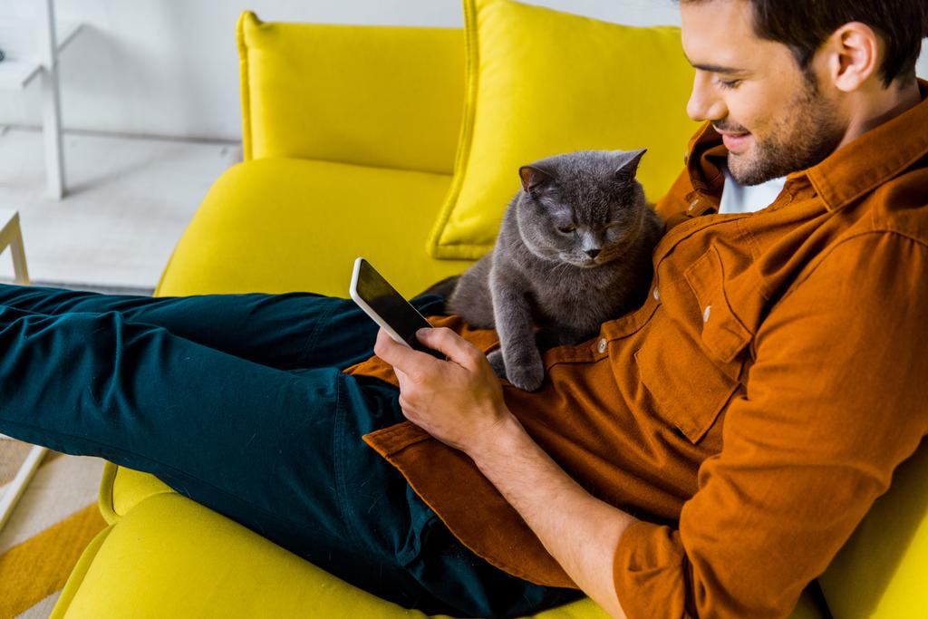 ハンサムな笑みを浮かべて男猫をソファの上に座っている間はスマート フォンを使用して - 写真・画像