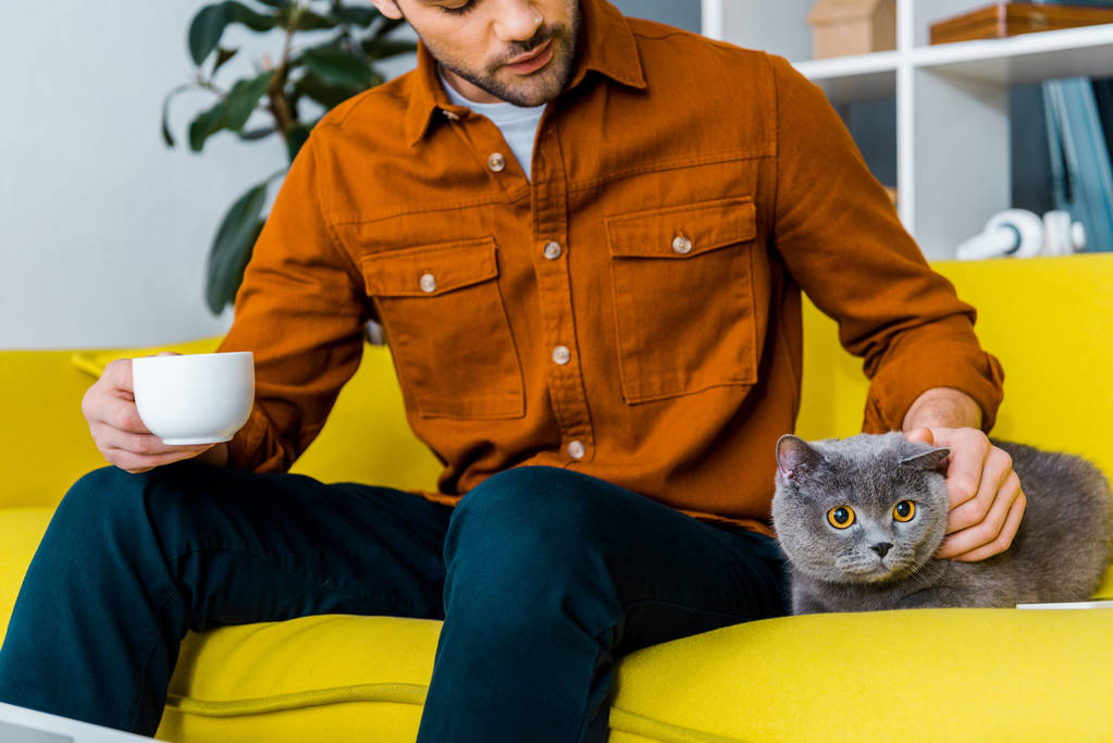 rajattu näkymä komea mies tilalla kuppi kahvia ja istuu sohvalla kissa
 - Valokuva, kuva