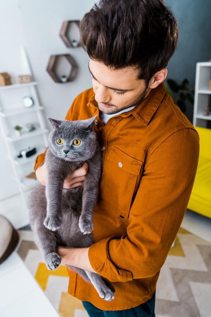 pohledný muž hospodářství britská krátkosrstá kočka v obývacím pokoji - Fotografie, Obrázek