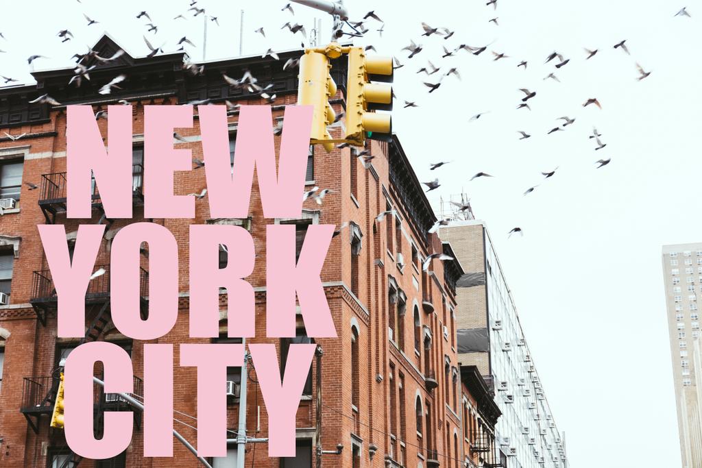 urbane Szene mit Vögeln, die über Gebäude mit rosa "New York City" -Schriftzug in New York, USA fliegen - Foto, Bild