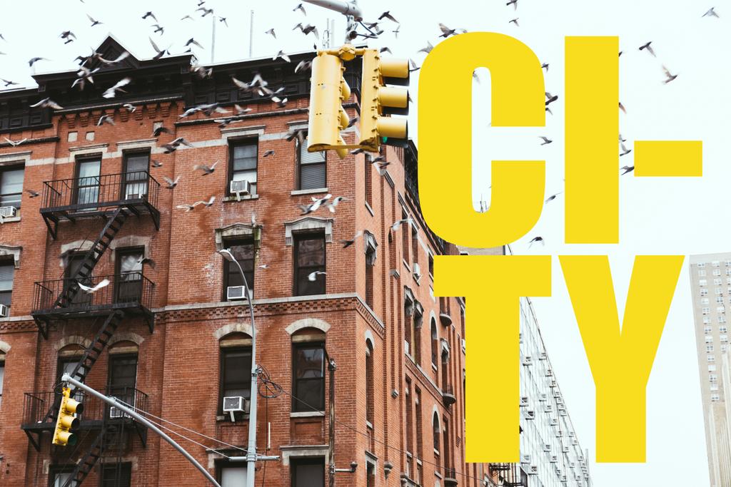 urban scene with birds flying over buildings in New york city with yellow "city" lettering, сша
 - Фото, изображение