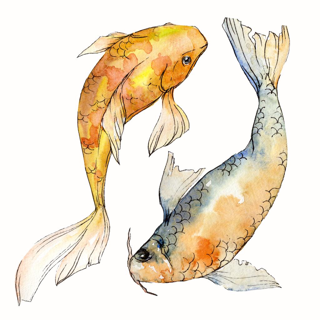 Σετ ακουαρέλας υδρόβια υποβρύχια πολύχρωμα τροπικά ψάρια. Ερυθρά θάλασσα και εξωτικά ψάρια μέσα: χρυσόψαρο. Ακουαρέλα στοιχεία για φόντο, υφή. Απομονωμένες goldenfish εικονογράφηση στοιχείο. - Φωτογραφία, εικόνα