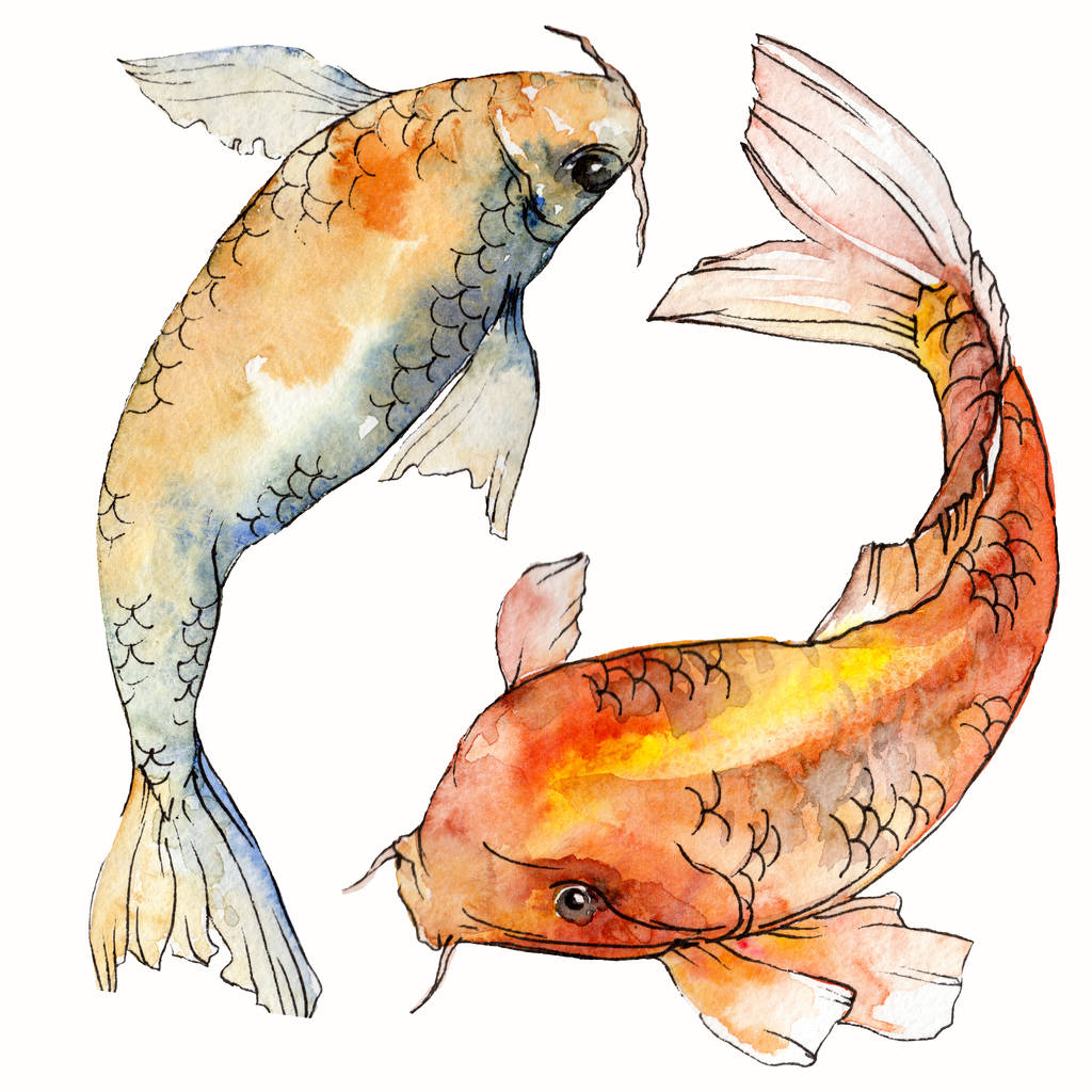 Σετ ακουαρέλας υδρόβια υποβρύχια πολύχρωμα τροπικά ψάρια. Ερυθρά θάλασσα και εξωτικά ψάρια μέσα: χρυσόψαρο. Ακουαρέλα στοιχεία για φόντο, υφή. Απομονωμένες goldenfish εικονογράφηση στοιχείο. - Φωτογραφία, εικόνα