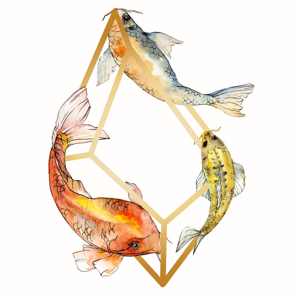 水彩水生水中カラフルな熱帯魚セット。紅海と内部のエキゾチックな魚: 金魚。背景、テクスチャ、ラッパー パターン aquarelle 要素。フレーム枠飾りスクエア. - 写真・画像