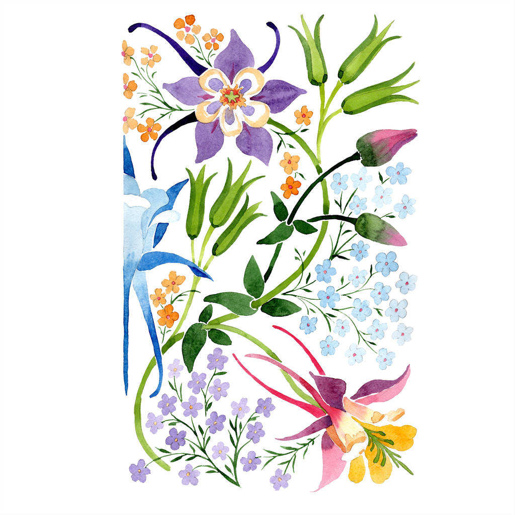 Viola isolato acquerello ornamento floreale. Set di illustrazioni di sfondo
.  - Foto, immagini