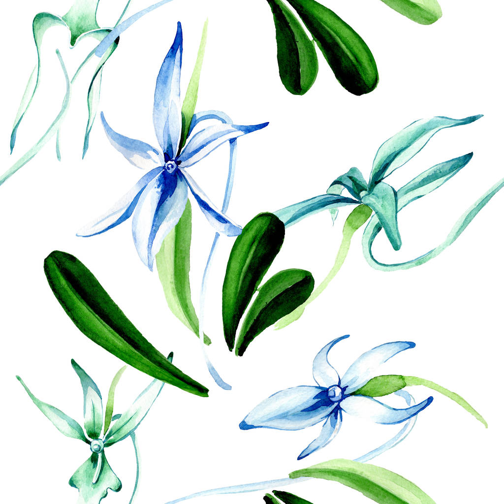 Sininen harvinainen orkidea. Kukka kasvitieteellinen kukka. Villi kevätlehti. Vesivärikuvitussarja. Vesiväri piirustus muoti akvarelli eristetty. Saumaton taustakuvio. Kangas tapetti tulostaa rakenne
. - Valokuva, kuva
