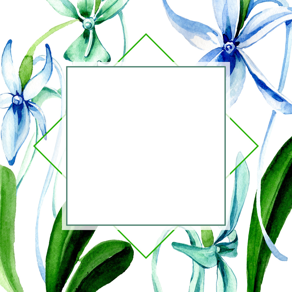 Blue Rare orchid. Floral botanical flower. Wild spring leaf wildflower isolated. Watercolor background illustration set. Watercolour drawing fashion aquarelle isolated. Frame border ornament square. - Photo, Image