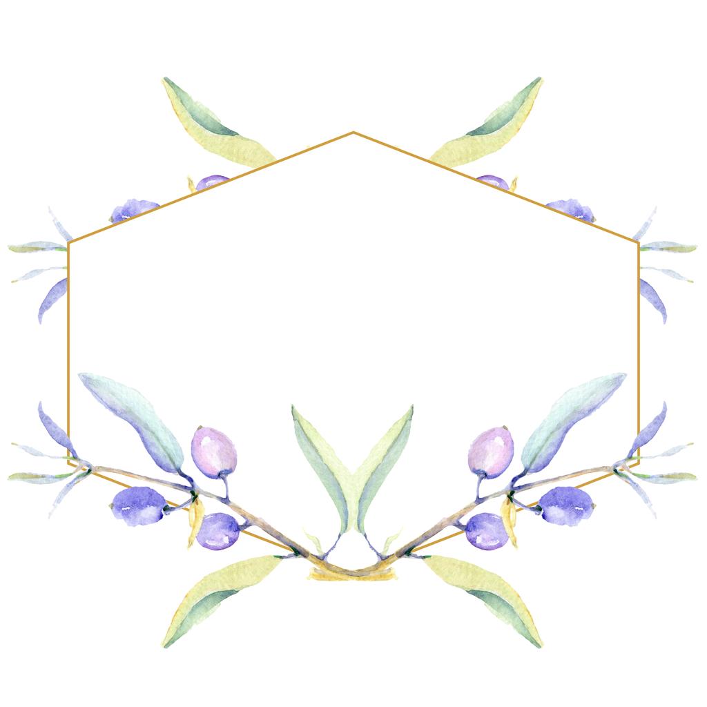 Набір ілюстрацій акварельного фону з оливками. Прикраса рамки з пробілом для копіювання
. - Фото, зображення